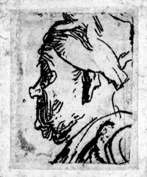 Vieil homme au nez retroussé